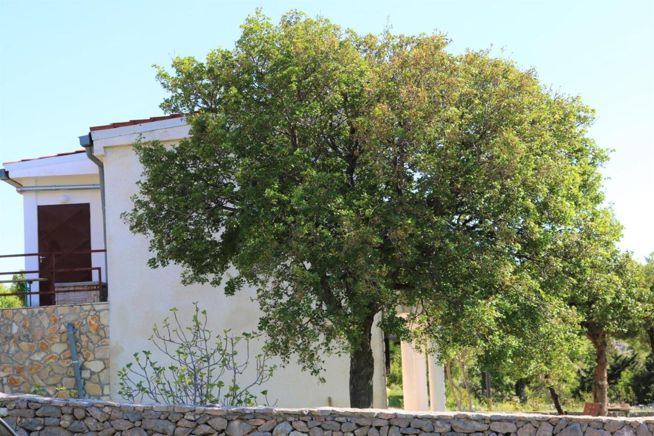 דירות יבלנץ Apartman Turkesici מראה חיצוני תמונה